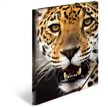 Folder Polypropylene (PP) HERMA 7137 Multicolour A4
