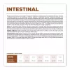 VET EXPERT Veterinary Diet Intestinal Dog - sucha karma dla psa - 12 kg