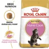 Sucha karma dla kota Royal Canin Maine Coon Kitten 2 kg — drób, białko 36%, tłuszcz 23%