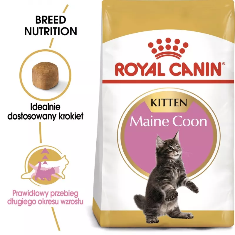 Sucha karma dla kota Royal Canin Maine Coon Kitten 2 kg — drób, białko 36%, tłuszcz 23%
