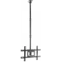 SpeaKa Professional SP-TVCM-540 TV-Ceiling Mount Height Adjustable 94.0 cm 37 - 203.2 80 (SP-13660960)