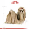 Sucha karma dla psa Royal Canin Shih Tzu Adult 7,5 kg — kurczak, 24% białka, 20% tłuszczu