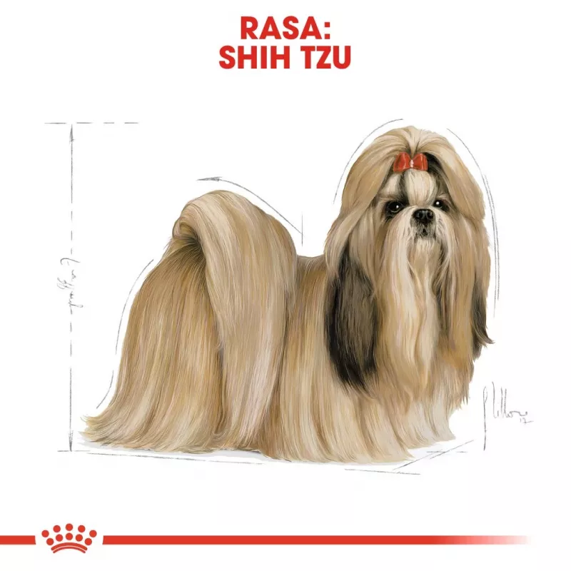 Sucha karma dla psa Royal Canin Shih Tzu Adult 7,5 kg — kurczak, 24% białka, 20% tłuszczu