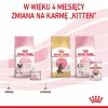 Royal Canin BABYCAT INSTINCTIVE - mokra karma dla kotów - 195 g