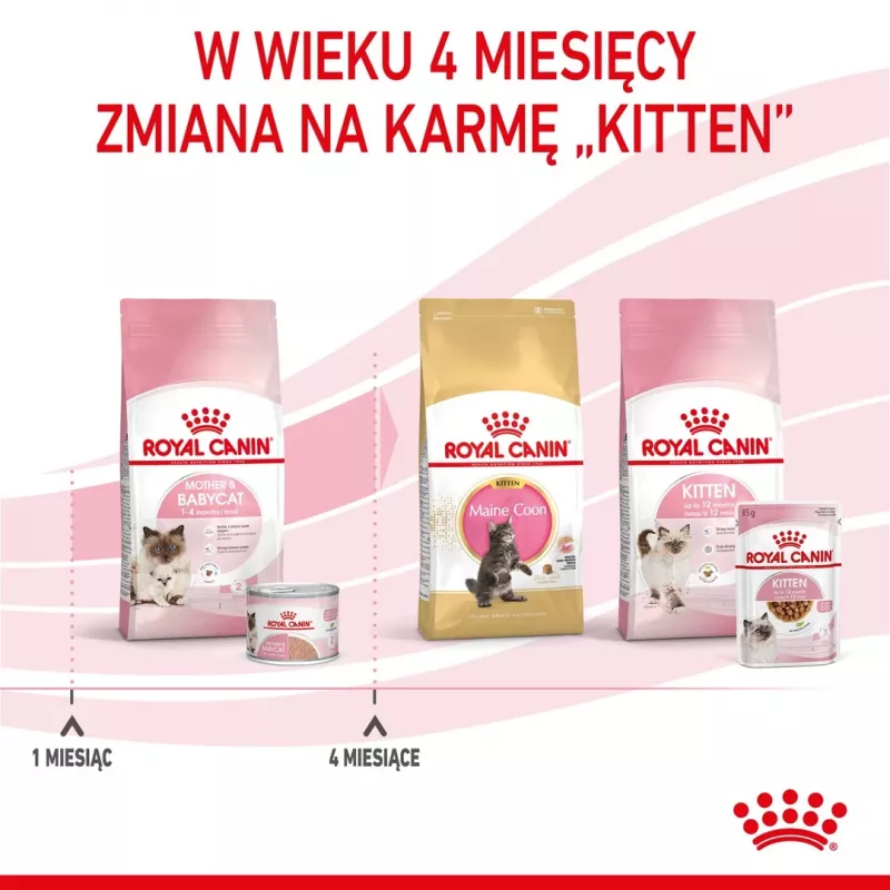 Royal Canin BABYCAT INSTINCTIVE - mokra karma dla kotów - 195 g