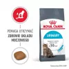 Royal Canin Urinary Care sucha karma dla kotów Adult Poultry 2 kg