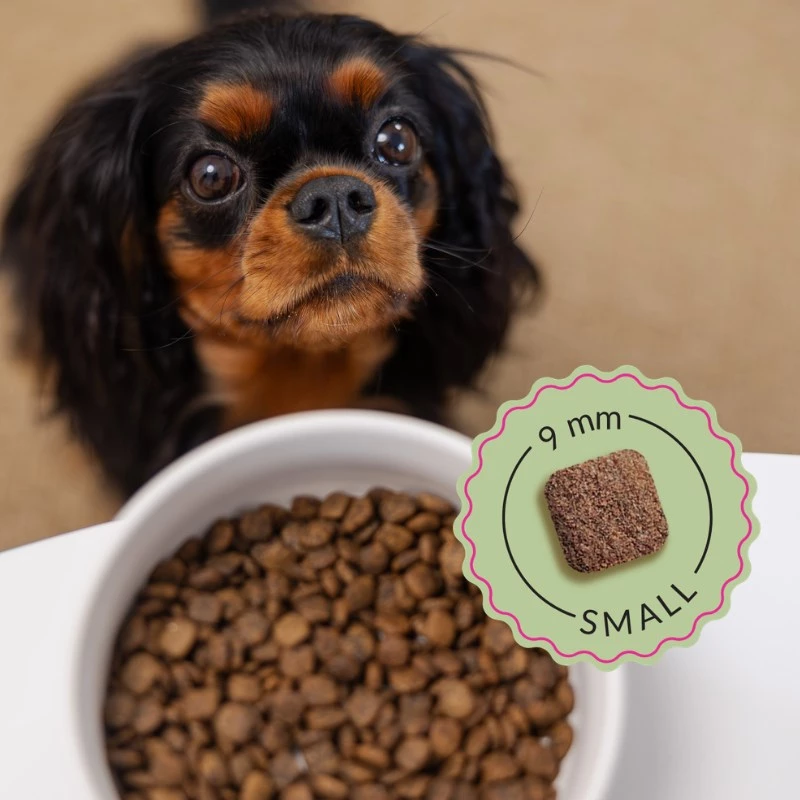 ADDVENA Boosted by superfoods Adult Small Beef - sucha karma dla psów - 2,5 kg