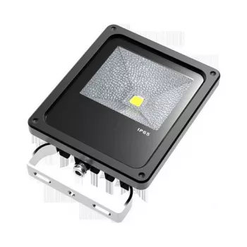 Synergy 21 reflektor LED obiektowy 10W IP65 ww