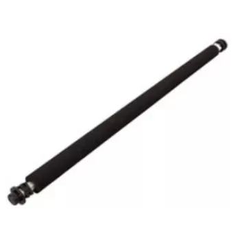 Ricoh B0393820 – wałek do drukarki/skanera, część zamienna/akcesorium