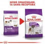 ROYAL CANIN Giant Adult - sucha karma dla psów - 15 kg