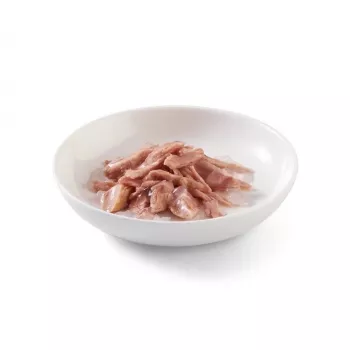 SCHESIR w galarecie Tuńczyk - mokra karma dla kota - 85 g