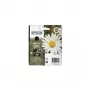 Epson Daisy Singlepack Czarny 18XL Claria Home Ink, wysoka wydajność (XL), czarny, tusz pigmentowy, 1 szt.