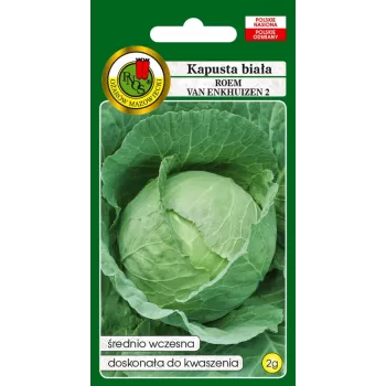Opakowanie nasion Apte — Kapusta głowiasta biała 'Roem Van Enkhuizen' (2 g) nasiona warzyw