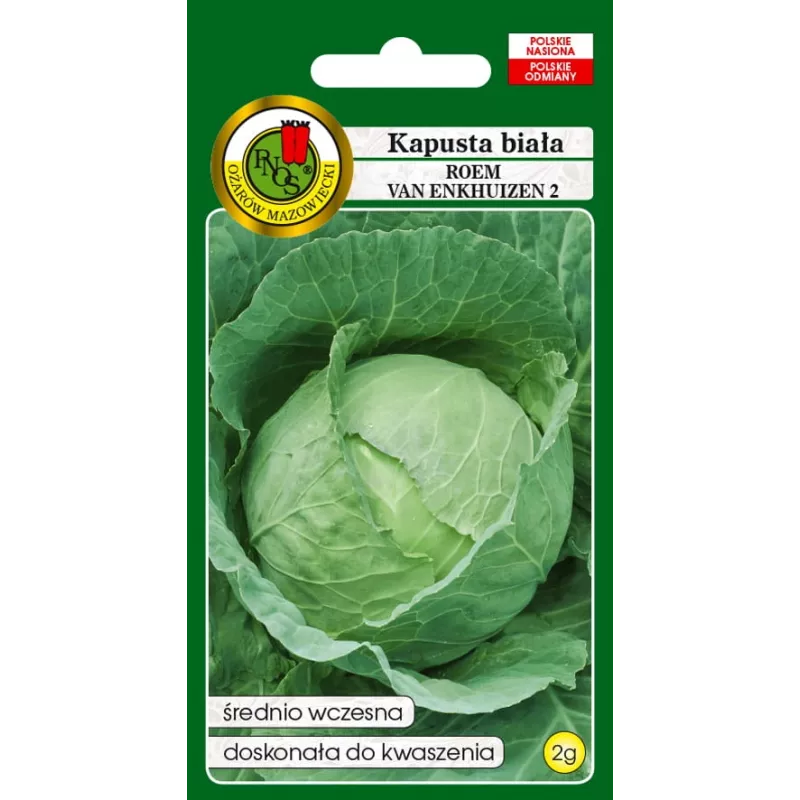 Opakowanie nasion Apte — Kapusta głowiasta biała 'Roem Van Enkhuizen' (2 g) nasiona warzyw
