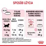 Sucha karma dla kota Royal Canin Kitten 2 kg — formuła z drobiem (kurczakiem), białko 36%, tłuszcz 18%