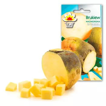 Nadmorska Rutabaga Toraf Nasiona Warzyw, Opakowanie 1g