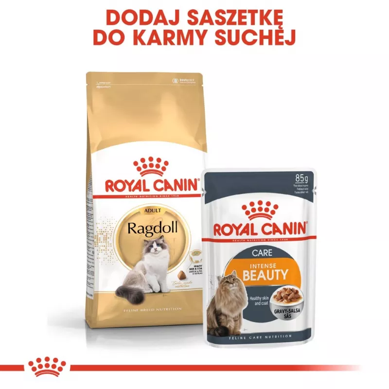 Royal Canin FBN Ragdoll Adult sucha karma dla kotów, 2 kg