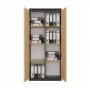 RS-80 HEMN OFFICE SHELVING UNIT, ANTHRACITE/ARTISAN OAK