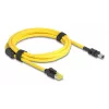 Kabel Delock RJ45 wtyk kat.6 na Mini I/O 8-pin D-Form typ 2 2 m (81251)