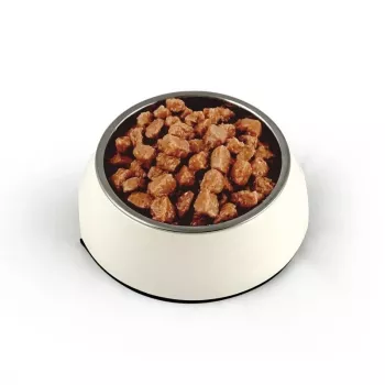 TEO Bogata w wołowinę - mokra karma dla kota - 850g