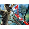 Anvil Tree Cutter WOLF-Garten RC-M