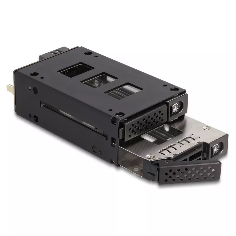 Delock - Mobiles Speicher-Rack - schmaler Schacht - 5,25 bis 2 x 2,5 (13,3 cm bis 2 x 6,4 cm) - Schwarz (47019)