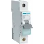 Hager MBN106. Częstotliwość wejściowa AC: 50/60 Hz, Prąd wyjściowy znamionowy: 6 A (MBN106)