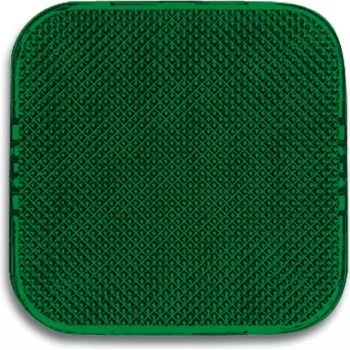 Busch-Jaeger 2526-13 Alarmlichtindikator Green (2CKA001512A0219)