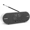 Technisat DigitRadio BT 2 jasnoszary (0001/3973)