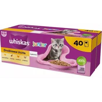 Mokra karma dla kota Whiskas Junior Drób w galarecie 40 x 85 g — dla kociąt
