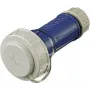 Złącze Schuko 10833 16A2P+E 230V DWD niebieskie (10833)