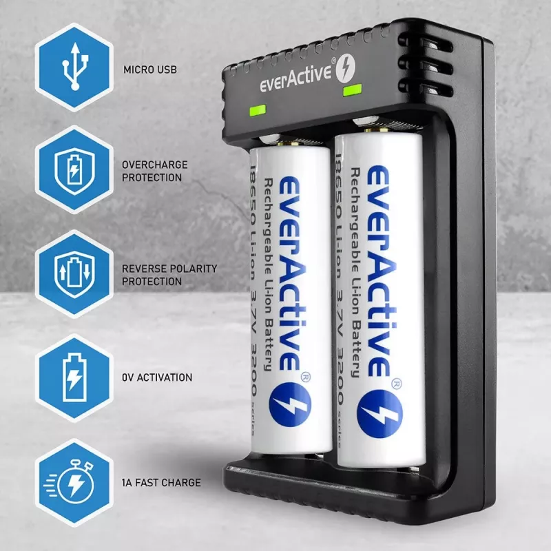Ładowarka do akumulatorów everActive LC200 domowa USB, 2-kanałowa, Li-Ion, obsługuje A/AA/AAA/AAAA/C/D, wejście 5 V, wyjście 4,2 V, czarna