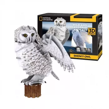 CubicFun Puzzle 3D NG Snow Owl 32 elementy Zwierzęta Wiek 8+