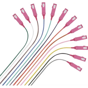 Kabel sieciowy Helos Faserpigtail 12 x SC OM4 50/125µm 2,0m Wielokolorowy