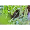 Uchwyt do węża Gardena 13208-20 Czarny Do wbijania w ziemię