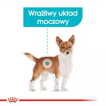 Sucha karma dla psa Royal Canin Mini Urinary Care 3 kg — małe rasy, drób, 27% białka, 16% tłuszczu