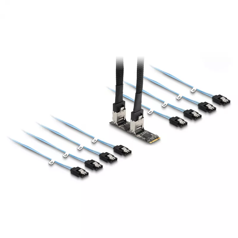 DeLOCK Konwerter M.2 2280 Key B+M męski na 8 x SATA