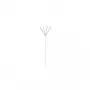 Wentronic Goobay CAT 6 kabel sieciowy, U/UTP, biały, 305 m - CCA, AWG 24/7 (linka), PVC (94219)