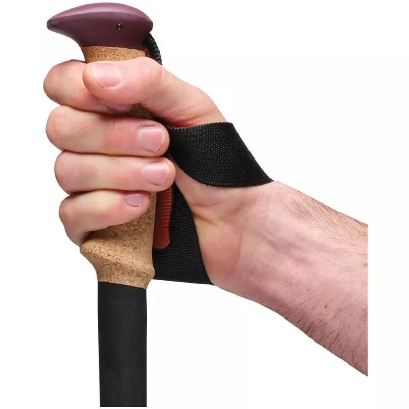 Czarny Diamond Trail Cork Trekking Poles Fig