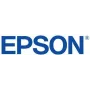 Epson C13T56FB00 wkład atramentowy Oryginalny zielony