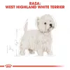 Royal Canin BHN West Highland Biały Terrier Adult - sucha karma dla dorosłych psów - 3 kg