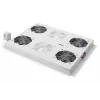 Digitus DN-19 FAN-4-SRV produkt szary