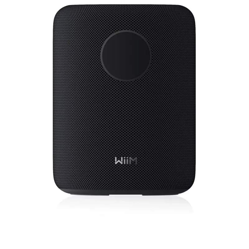 WiiM LPWISND Sound Smart Speaker, czarny