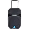 Głośnik przenośny Blaupunkt PA12 650 W Stereo Czarny