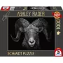 Ashley Rader: Dominance - Widder, Im Zeichen des Feuers, Puzzle 1000 elementów