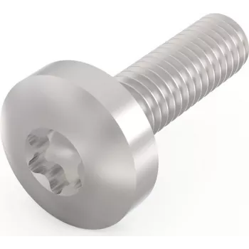 Schroff Pentair Techn. Screw 24560-130 VE100 (24560130)