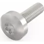 Schroff Pentair Techn. Screw 24560-130 VE100 (24560130)