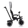 Baby Tricycle Lionelo Berry
