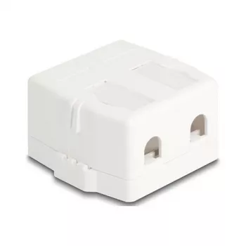 Ramka snap-in DeLOCK 85843 Plastik Biały 545x573x324 mm