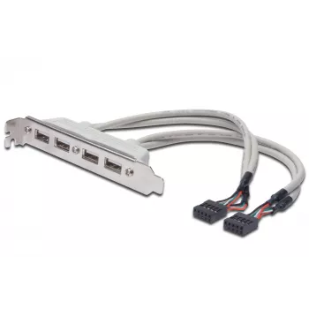 Kabel wspornika gniazda USB 2.0 HighSpeed typ 2xIDC (5pin)/4xUSB A M/Ż szary 0,25m